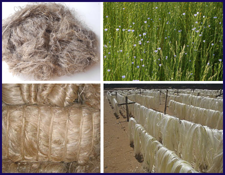 Flax, Abaca and Sisal Fiber